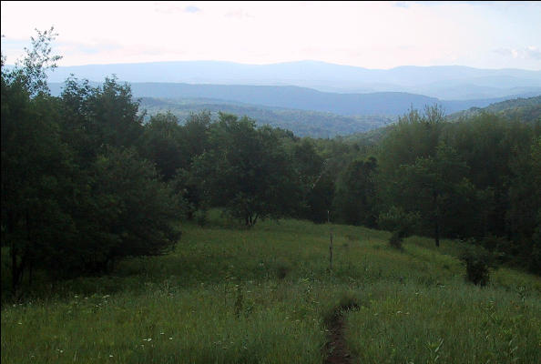 Trail through VT hills, Vermont