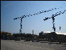 IMG 1409 Construction Cranes Chicago 