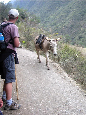Traffic on Inca Trail