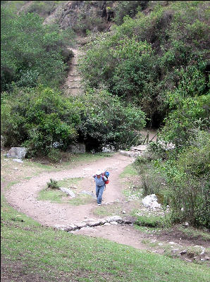 Porter on the Inca Trail