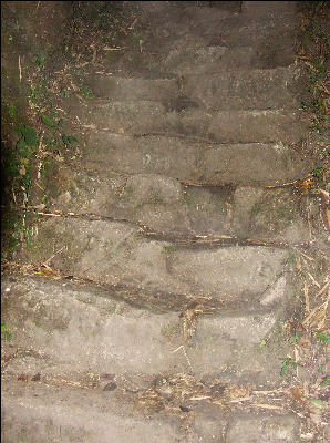 Last set of steps 