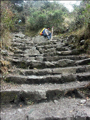 Rock stairs on the Inca Trail