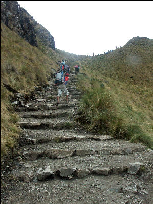 To Dead Woman's Pass Inca Trail