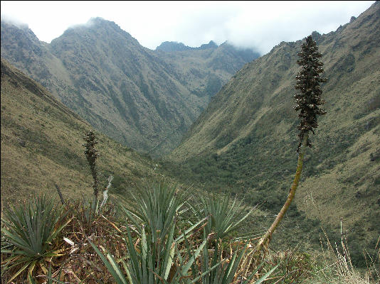 View second day of Inca Trail