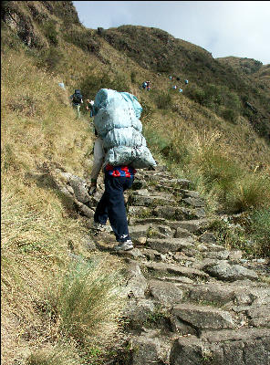 Porter on Inca Trail