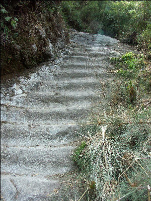 Step Third Day Inca Trail