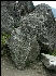 Split Rock, Rock Quarry