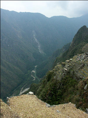 Urubamba Ricer 