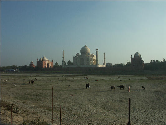 Pict4182 Taj Mahal From Field Across Yamuna River Agra