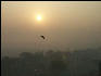 Pict4334 Sun Through Fog With Bird Agra