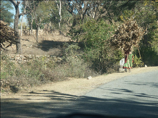 PICT1955 Woman Carrying Bundle On Way To Kumbhalgarh Fort