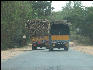 Pict0795 Passing On Road South Of Mysore