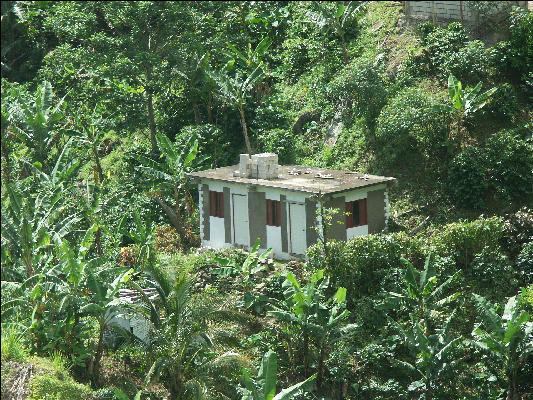 Pict6274 House Mavis Bank Blue Mountains Jamaica 