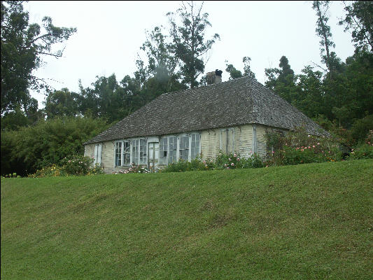 Pict6535 Governor's House Cinchona Gardens Blue Mountains Jamaica 