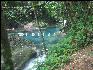 Pict8873 Above The Falls Reach Falls Jamaica