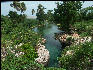 Pict6857 Guts River Jamaica