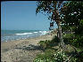 Pict7886 Treasure Beach Jamaica 