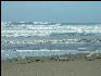 Pict0852 Waves Newport Oregon
