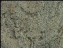 Pict1072 Patterns In Mud Newport Oregon