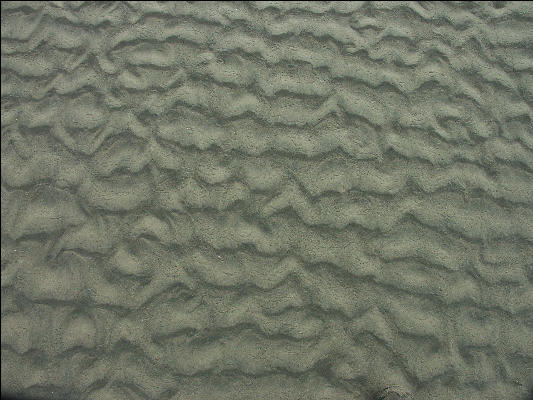 Pict1140 Patterns In Sand Newport Oregon